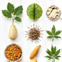 Natural ingredients icon for men's vitamins